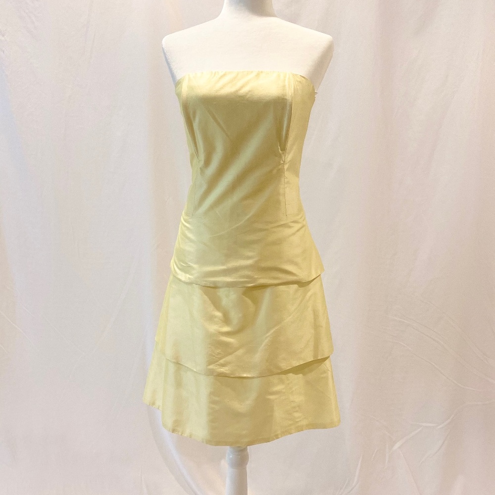 NWT CK Bradley NY Laurelawn Strapless Dress